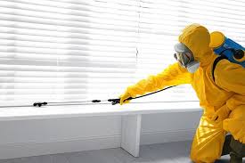 Best Termite Inspection and Treatment  in Leesville, LA